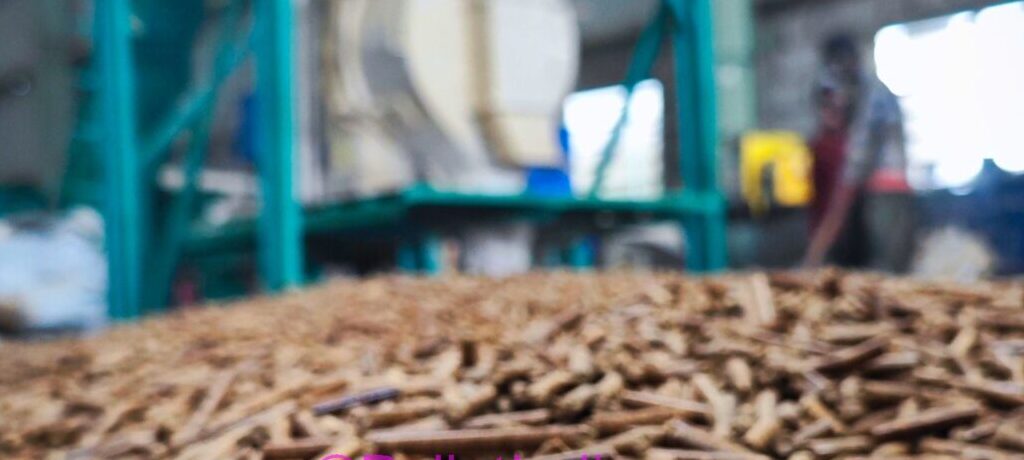 pellet india