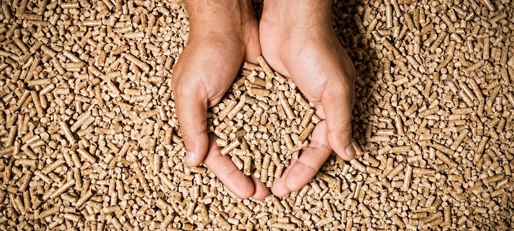 Focus on demand creation key to boost biomass offtake: SAMARTH Mission Director