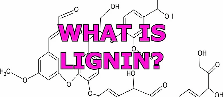 How does lignin's role as a natural binder enhance the durability, energy efficiency, and overall performance of biomass pellets in industries such as power plants, boilers, and others?